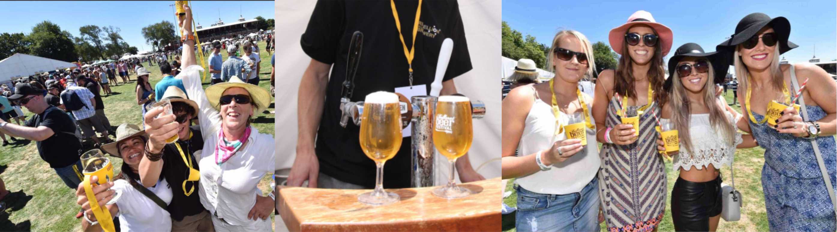 festival glassware